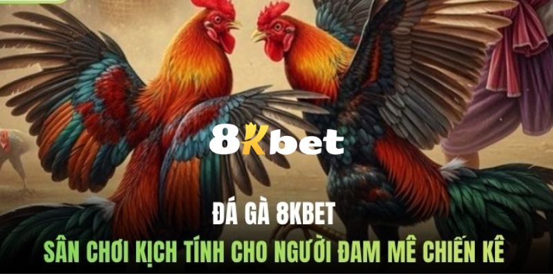8KBET - Website Đăng Ký, Đăng Nhập 8KBET.COM Uy Tín 2026 15 Đá gà livestream 8KBET mang lại cảm giác hấp dẫn, kịch tính và đỉnh cao